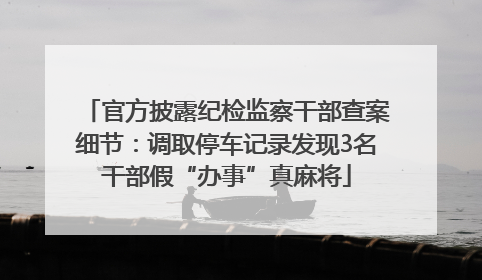 官方披露纪检监察干部查案细节：调取停车记录发现3名干部假“办事”真麻将